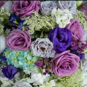 Meet your Posher, Rebecca